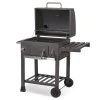 Berdsen BD-891 grill