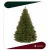 195283 ct0197 choinka swierk kaukaski 200 cm M0