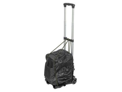 platform trolley with folding bag 40 kg