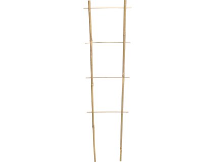 BAMBU DUBLU CU MĂRU 45 CM ambalaj=25 buc *3137