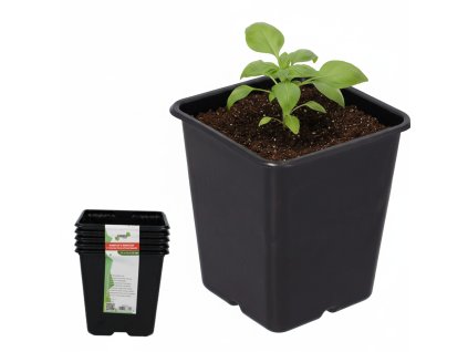 SET DE 5 GHIVECI DIN PLASTIC 11 x 11 x 12 CM *3302