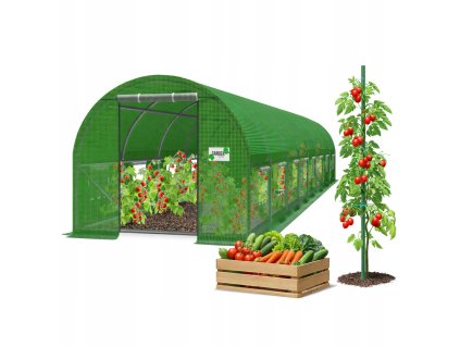 TUNEL DE GRĂDINĂ DIN FOLIE 8-SEGMENT 8 x 4 x 2 M VERDE *3903