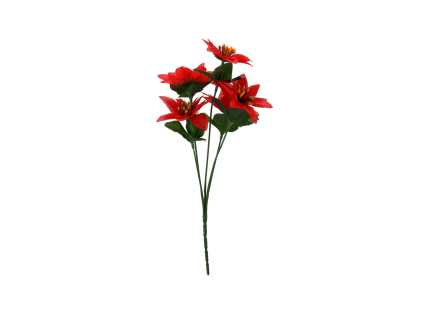 Steaua Betleemului, Buchet *9361