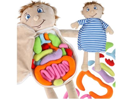 Băiețelul mască de învățare a anatomiei