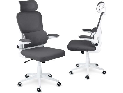 Scaun de birou Formax grafit