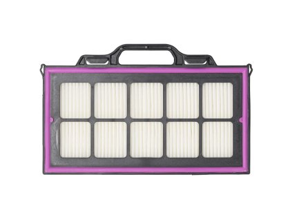 Filtru HEPA DED66033