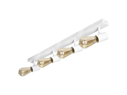 Lampă de tavan și perete 4xE27 albă