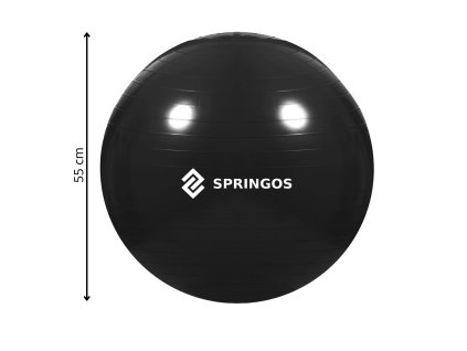 FB0013 MINGE GIMNASTICĂ CU POMPĂ 55 CM