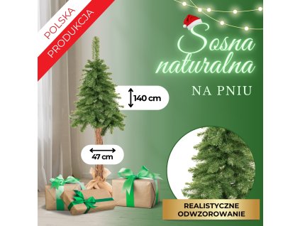 CT0180 BRAD PE TULPINĂ 140 CM