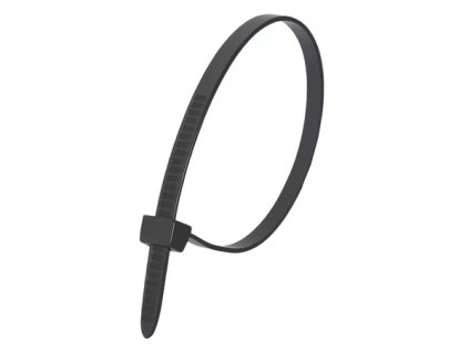 Fasioane de nylon negre DEDRA 11AC25102 2,5x100mm (100 buc.)