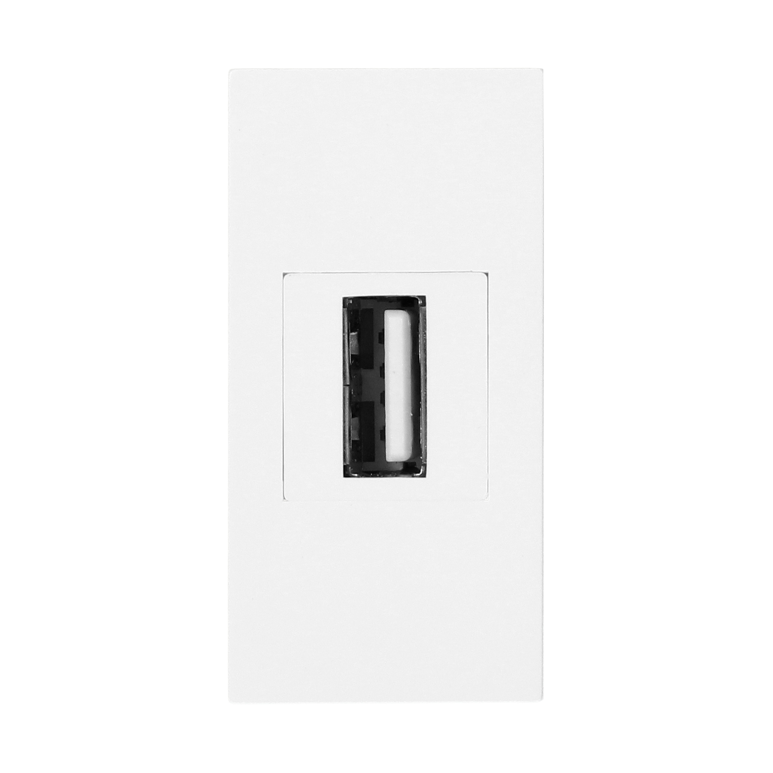 Priză de Date USB 2.0 Dublă Albă