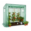 Seră pentru roșii verde 200 x 77 x 168/146 cm *5507