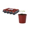 Set 12 Ghivece pentru Plante cu Diametrul de 6 cm *3083