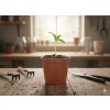 Set 12 Ghivece pentru Plante cu Diametrul de 6 cm *3083