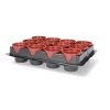 Set 12 Ghivece pentru Plante cu Diametrul de 6 cm *3083