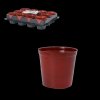 Set 12 Ghivece pentru Plante cu Diametrul de 6 cm *3083