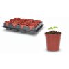 Set 12 Ghivece pentru Plante cu Diametrul de 6 cm *3083