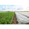 AGROTEXTIL 1.1 x 5 M IARNĂ/PRIMĂVARĂ ALB 30g *2081