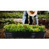 Grădină rectangulară din antracit pentru legume și flori 180 x 90 x 30 cm *8410