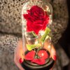 HA5156 TRANDAFIR ETERN ÎN STICLĂ