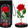 HA5156 TRANDAFIR ETERN ÎN STICLĂ