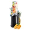Mixer smoothie 350W BD-752 Berdsen negru