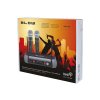 Set de microfoane wireless PRM902