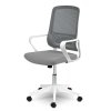 Scaun de birou Wizo gri-alb