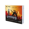 Set de microfon wireless PRM901