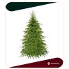 Brad de Crăciun 180cm CT0177