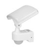 Proiector LED de grădină cu senzor PIR 30W alb