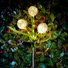 Lămpi solare decorative pentru grădină Rebel - usturoi decorativ
