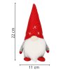 CA0897 DECORAȚIUNE DE CRĂCIUN "GNOM" 20 CM