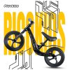 Bicicletă fără pedale pentru copii Ricokids FUNNU