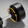 Gantera ajustabilă din fontă automat 36 kg, increment de 2 kg, REBEL ACTIVE