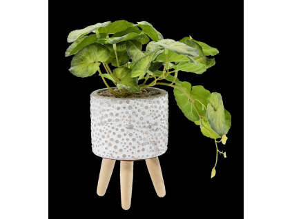 UMETNA RASTLINA 20 CM