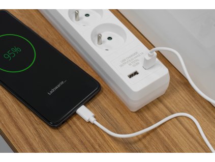 przedluzacz sieciowy rebel 3 gniazda 2 gniazda usb z wylacznikiem 3m 1cd7904c9e244264af0a6c1963ce22af 59c60282