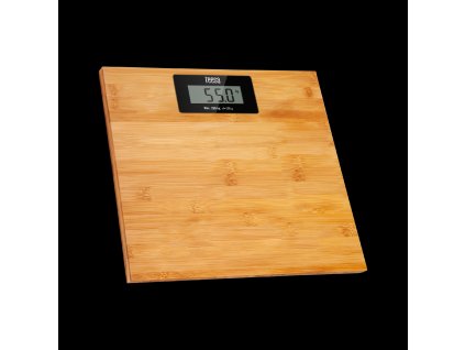 Osebna tehtnica TSA0809