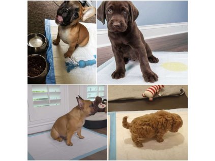 87766 pa2017 podklady higieniczne 60 x 60 cm 50 szt M0