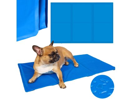 49007 pa2003 mata chlodzaca M0