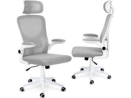 Pisarna stol siv 241101