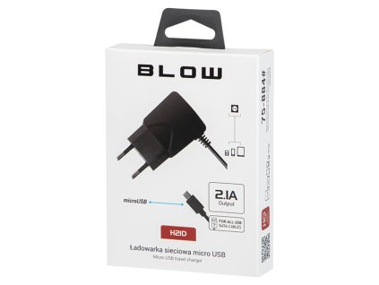 Omrežni polnilec 5V/2,1A Micro USB