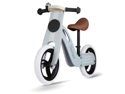 Poganjalec Ricokids RC-618 moder