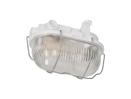 Zunanja svetilka Oval 60W E27 IP54 Steklo/Jeklo