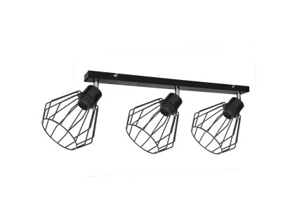 Črna stenska in stropna svetilka 3x60W E27