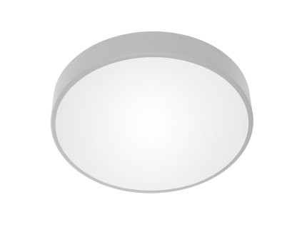 Stropna svetilka 4xE27, matirano steklo, siva, IP20