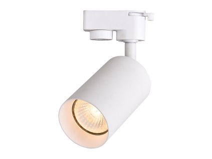 Bela stropna svetilka GU10 100mm