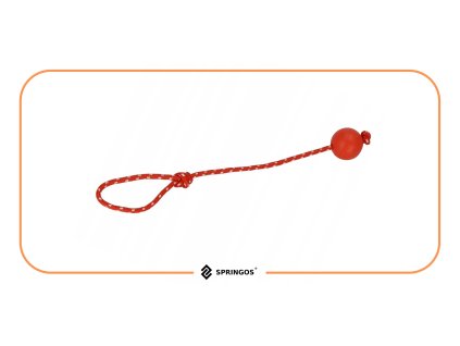 188700 pa1055 zabawka dla psa M0