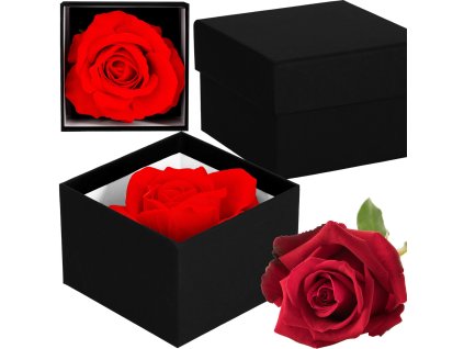 116193 ha7447 wieczna roza M0