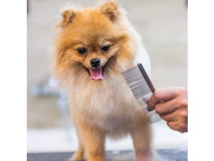 141900 pa0309 zestaw do strzyzenia zwierzat M0